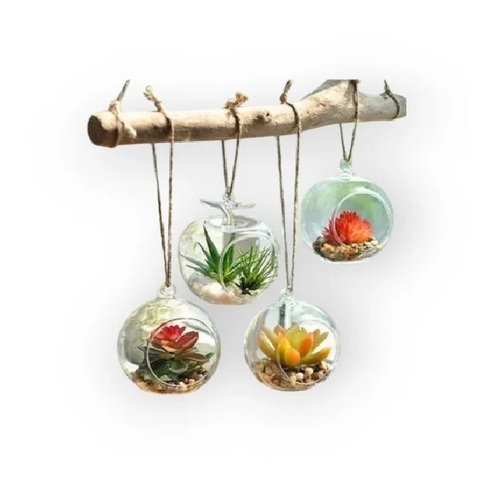 Hanging Glass Planter Vase