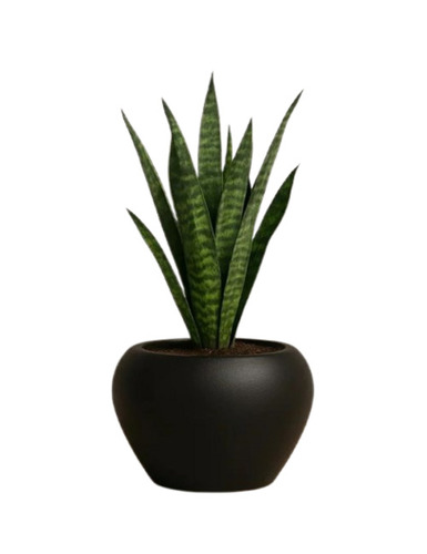 Jp Small Apple Planter