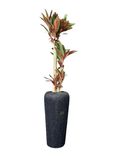 Large Decorative Indoor & Outdoor Fiber Planters