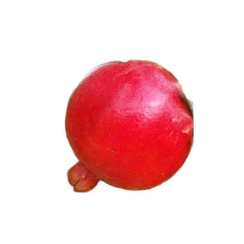 Pomegranate Plants