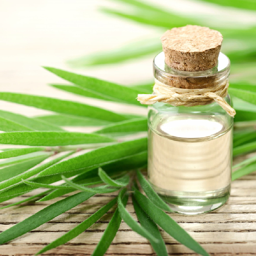 Pure Tea Tree Oil - Age Group: All Age Groups