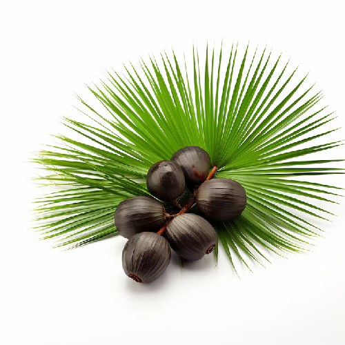 Saw Palmetto Oil