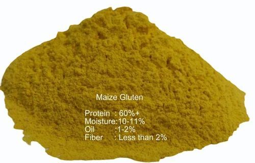 Maize Gluten Meal Powder