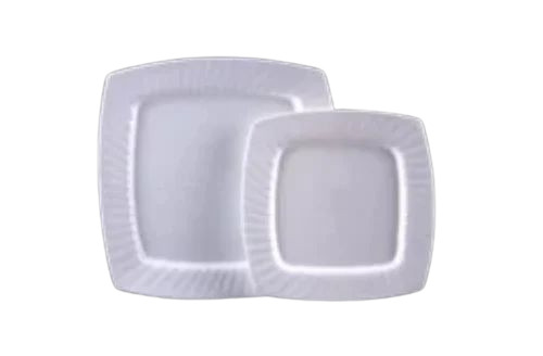 Plastic Dinner Plate
