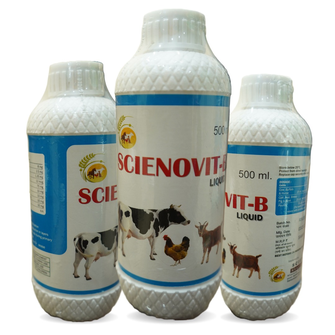 Scienovit B Liquid