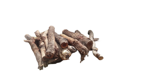 Seesam Naravepa Wood Logs