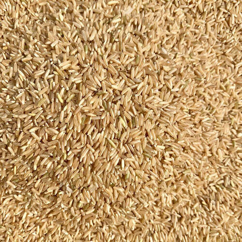 Brown Raw Rice