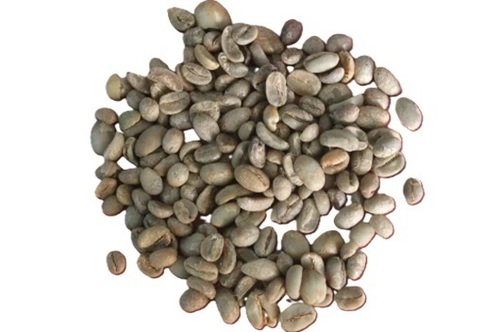 Coffee Robusta (Green Coffee Bean) Extract