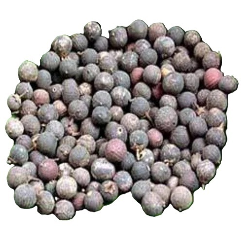 Embelia Ribes Seed Extract (Vidang)