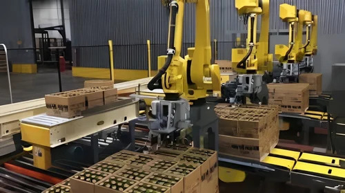 Gantry Palletizer System