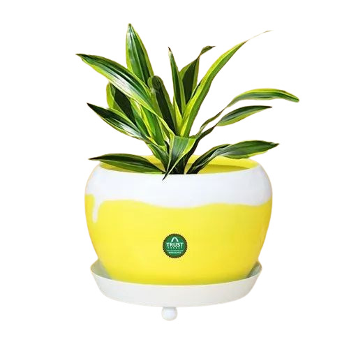 Metal Table Top Planter
