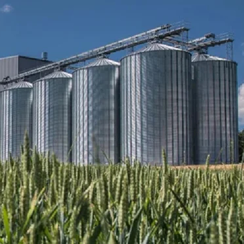 Paddy Silo Storage Tank