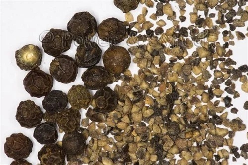 Piper Cubeba Seed Extract (Shital Chini)