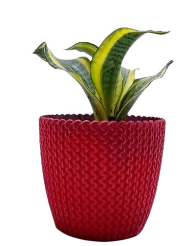 Red Table Top Frp Planter