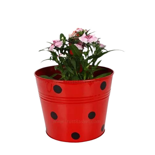 Round Dotted Railing Planters