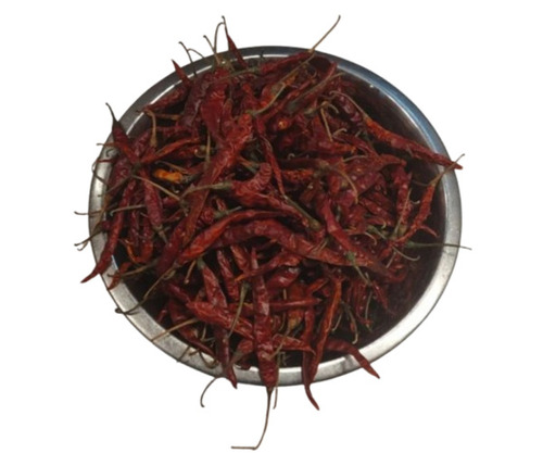 Teja Dry Red Chilli By Padam Trading Co.