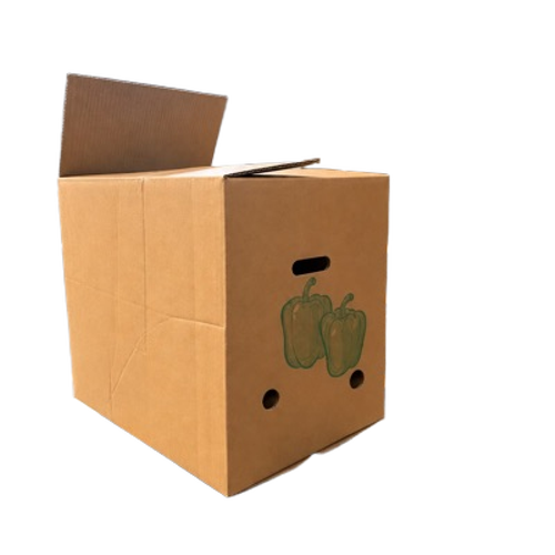 7 Ply 20 Kg Box for Vegetable