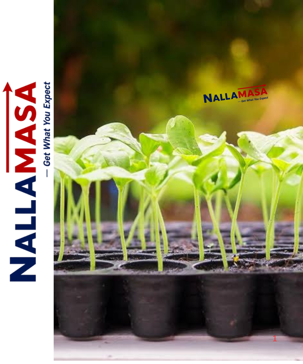 Seedling Trays - Material: Plastic