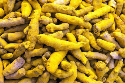 Dried Turmeric Finger