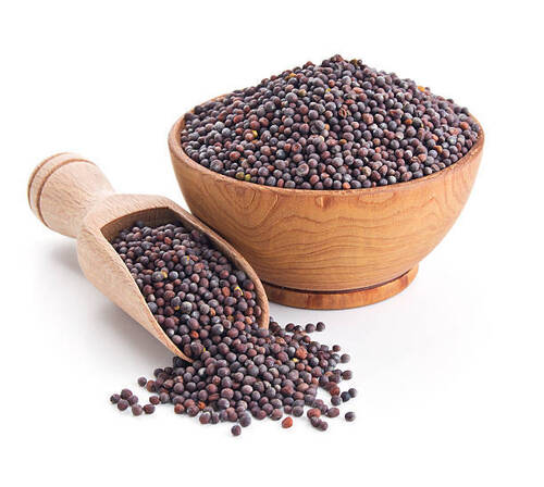 Organic Mustard Seed