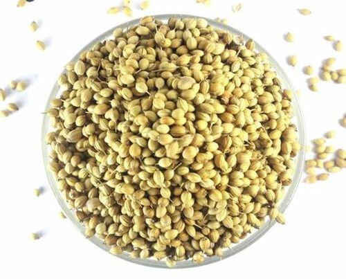 Organic Whole Coriander Seed