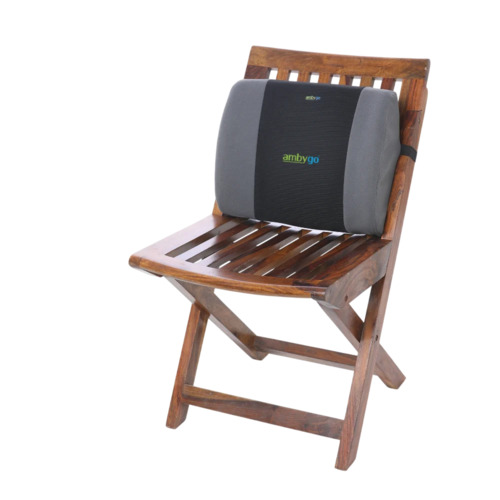 Orthopaedic Back Rest
