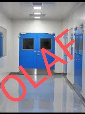 Clean Room Doors