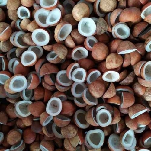 Dry Coconut Copra