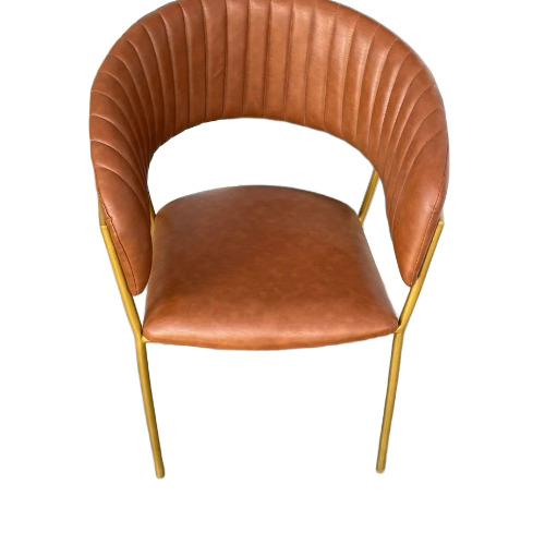 Iron Bar Chair With Cushion
