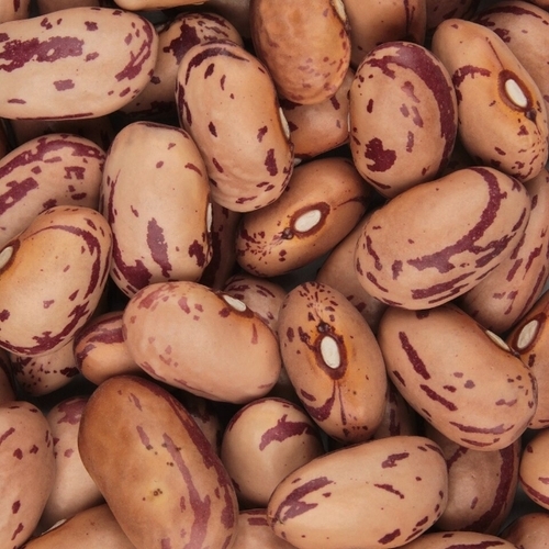 Brown Kidney Beans