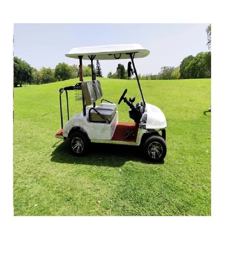 2 Seater Electric Golf Cart