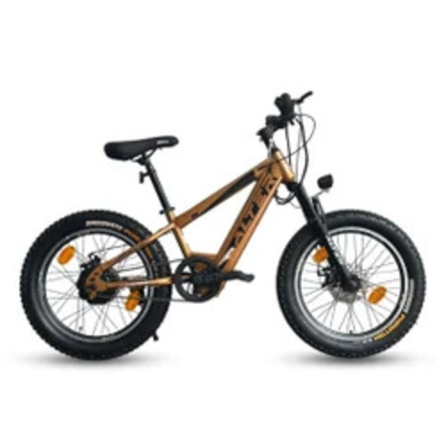 20" Hanzorx Model Kids Electric Cycle With 95% Pre-Assembled With Charger