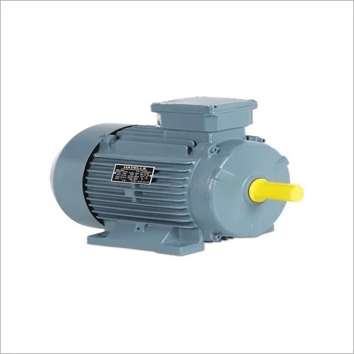 Crane Duty Electric Motor