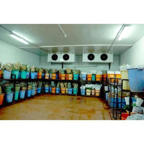 Fruit Ripening Chamber