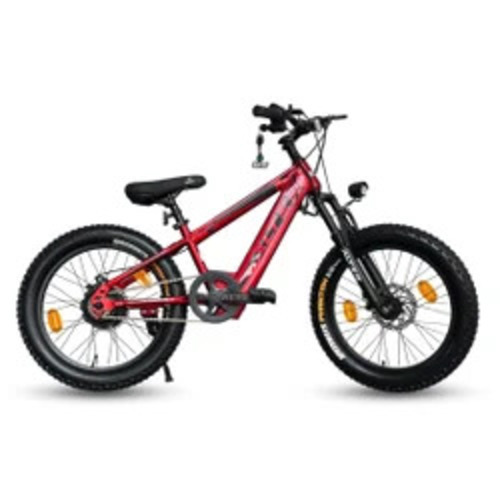 Hanzor Kids Electric Cycle