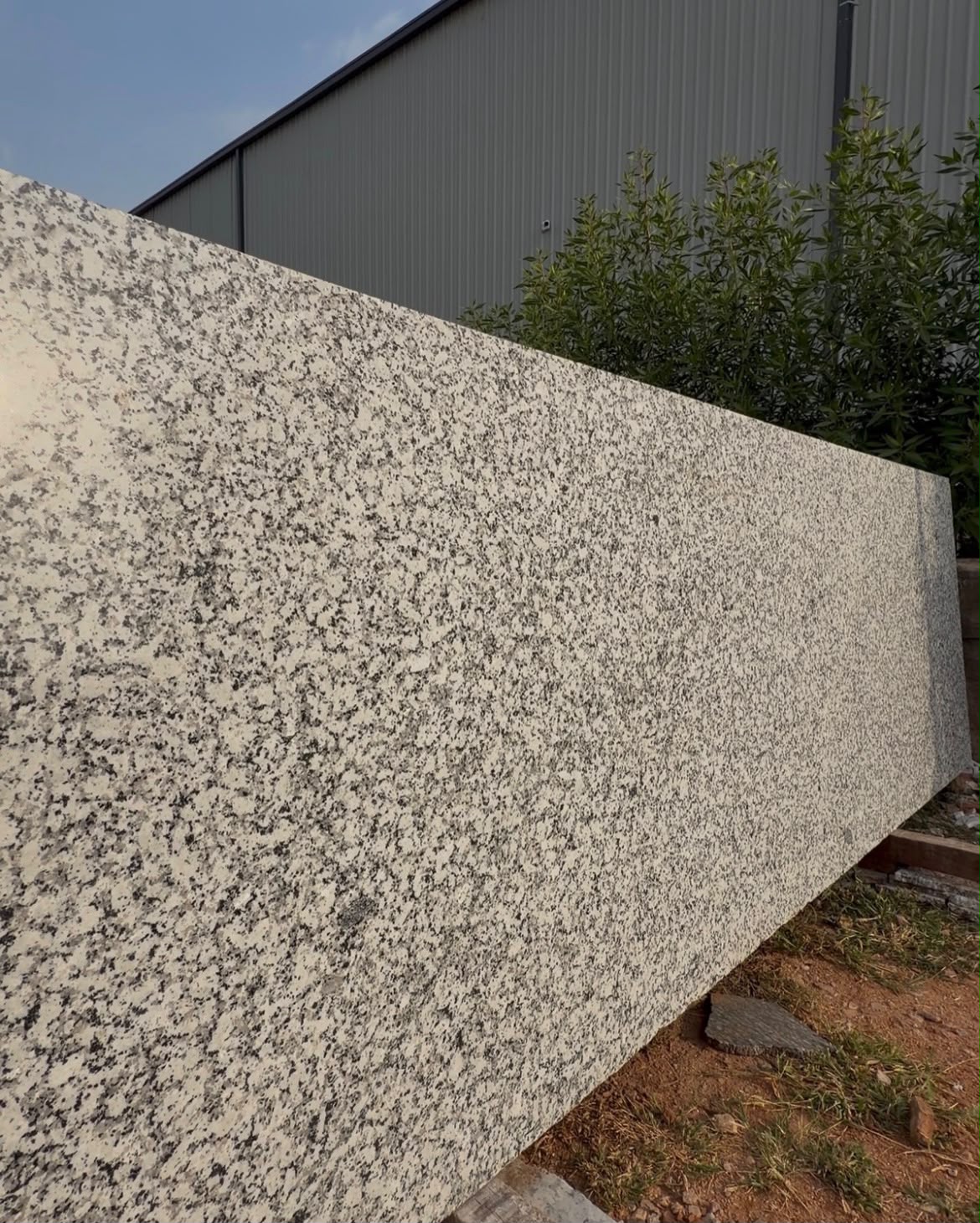 P White Granite - Application: Flooring