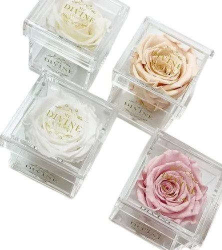Acrylic Single Flower Box