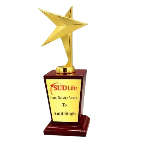 Wm 9924 Star Award Trophy
