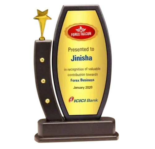 Wm 9936 Award Trophy