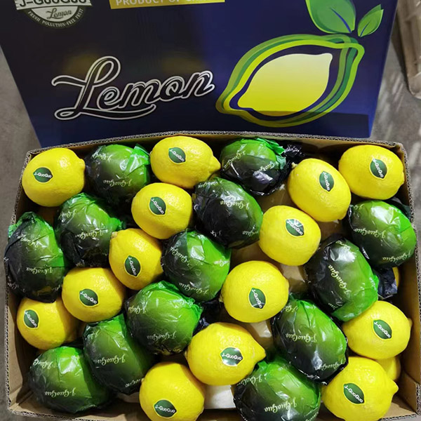 Fresh Lemon - Cultivation Type: Common Cultivation