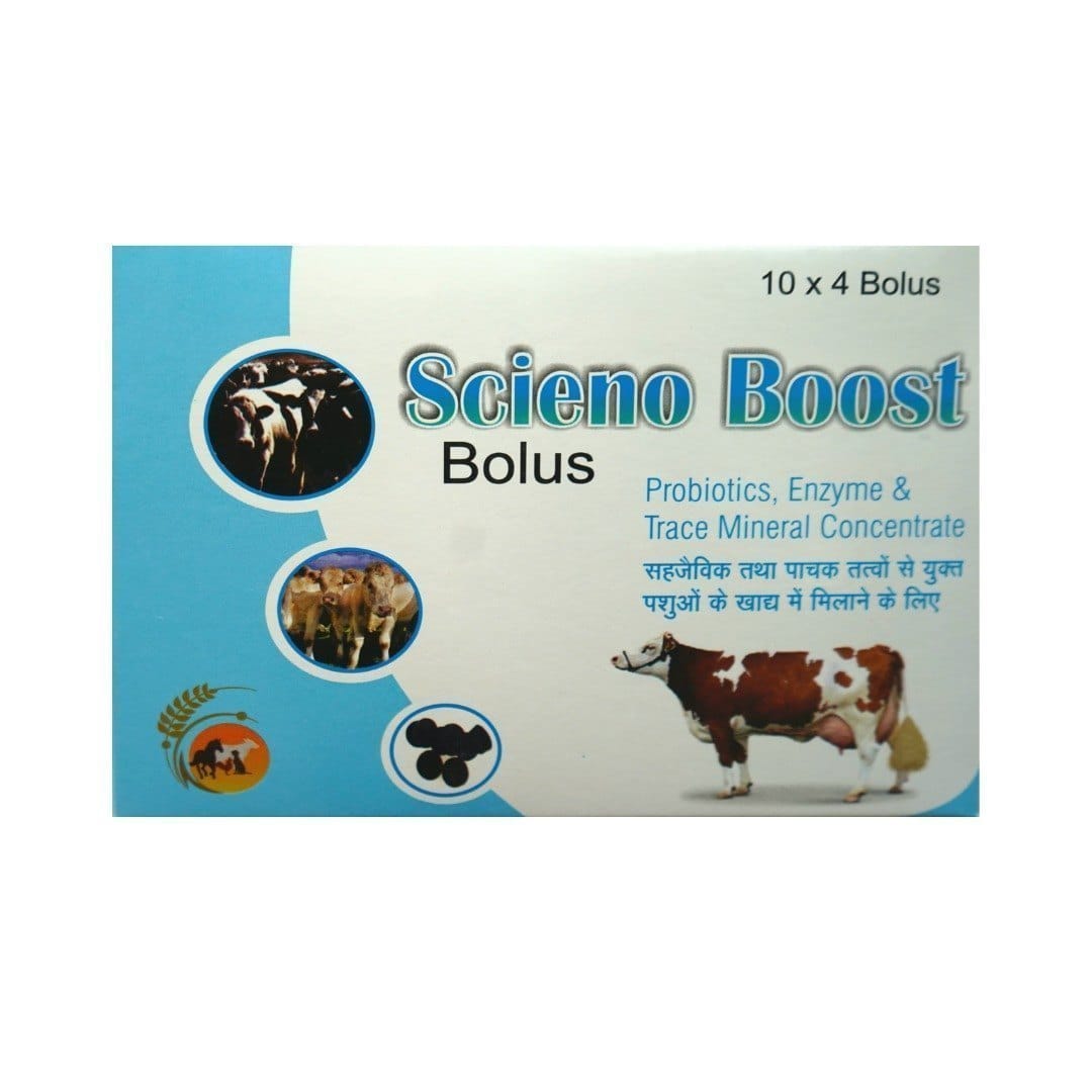 Scieno Boost Digestive Bolus for animal
