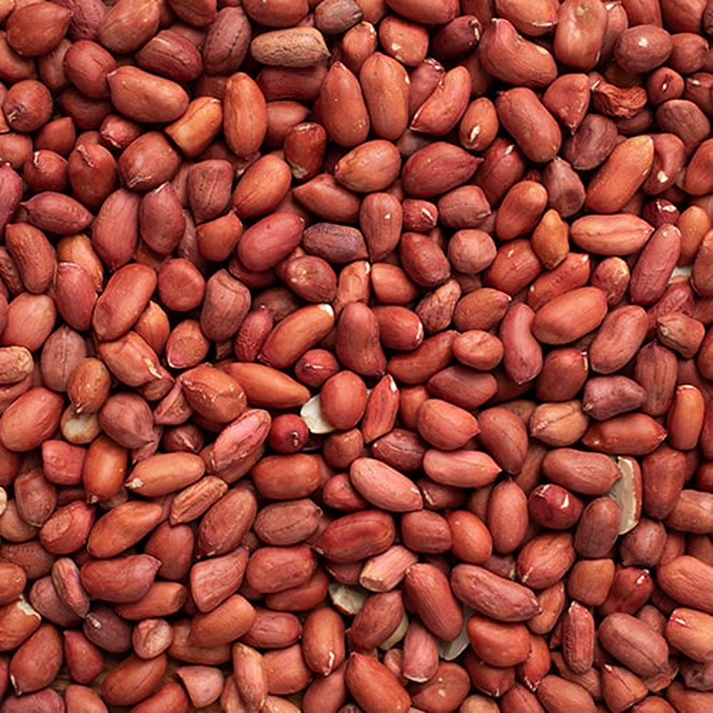 Bold Peanut Kernel - Purity: 99%