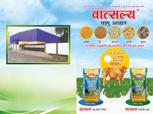 Cattle Feed