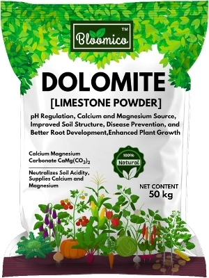 Dolomite Powder