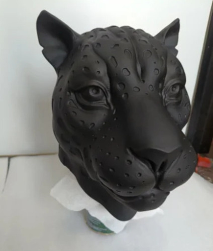 Leopard 3d Face Model