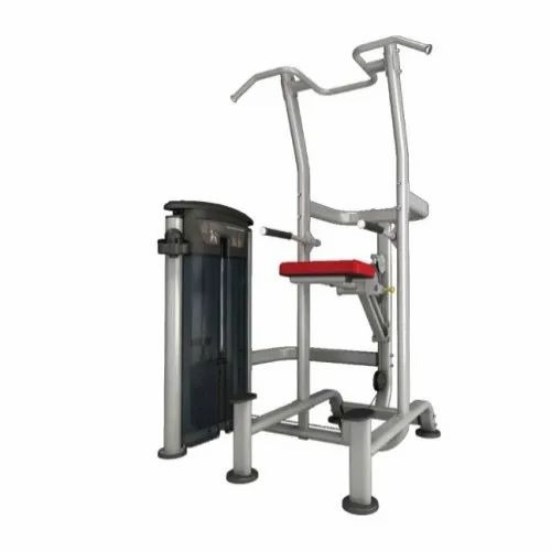 It9520 Dip And Chin Assist