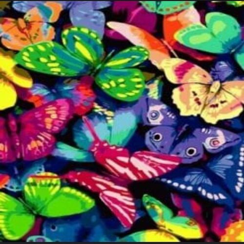 Printed Lycra Polyester Fabric