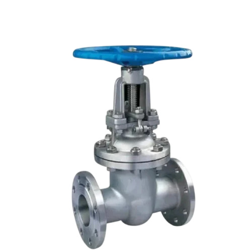 Ss Globe Valves By T M Corporation