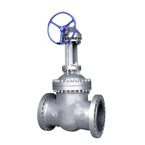 Stainless Steel Flanged Gate Valve