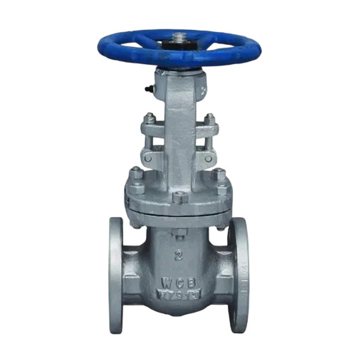 Stainless Steel Gate Valve